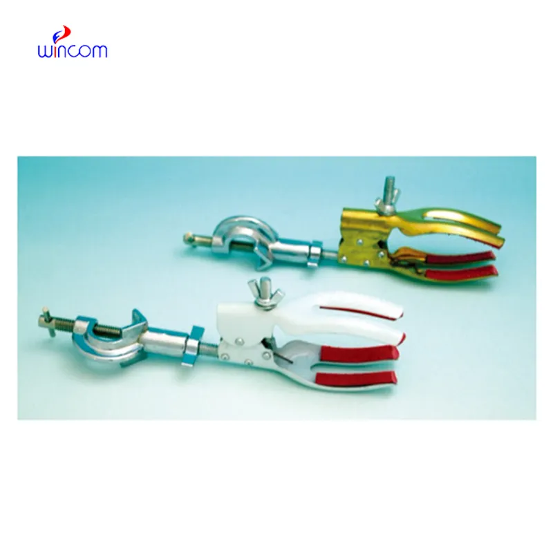 The future of kidney microscope